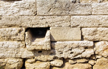 Ancient masonry of shellfish