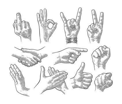 Male And Female Hand Gesture Set