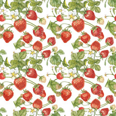 Watercolor seamless pattern with Strawberry leaves with flowers and ripe berries on white. Background design for natural cosmetics