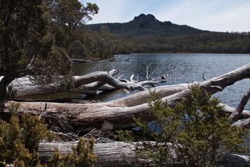 Fototapeta na wymiar Shadow Lake in Tasmania 