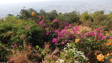 Telengana Trip January 2017