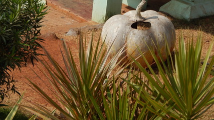 Telengana Trip January 2017