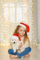 Obraz premium Little girl in santa hat with a samoyed puppy 