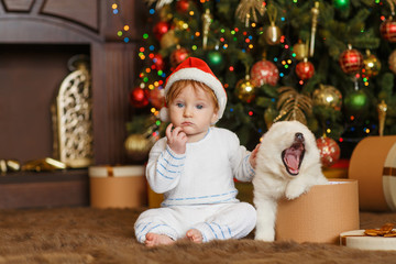 Redhead baby boy with a samoyed puppy near christmas tree
