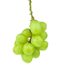 Green grapes on white background