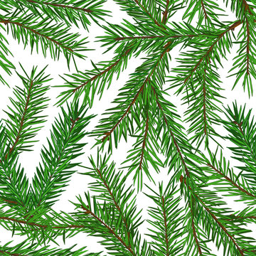 Realistic green fir tree branches seamless pattern on white background. Christmas, new year symbol.