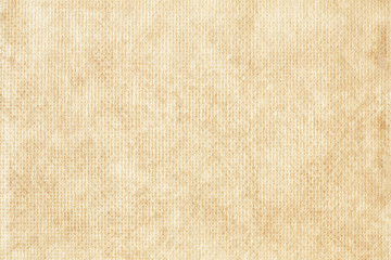 Fototapeta premium Brown paper texture