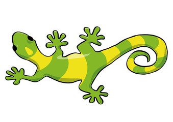 Fototapeta premium Lizard Gecko. Vector illustration