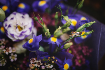 wedding rings decor flowers