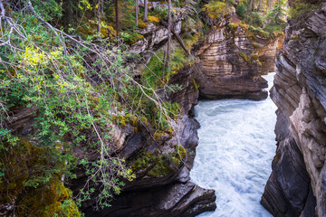 Athabasca Falls