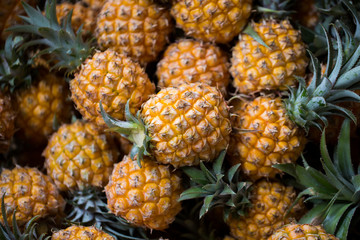 Selling fresh pineapple in the Indian market in Mauritius