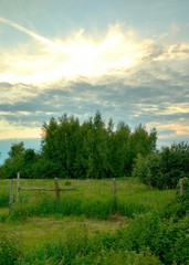 Obraz premium Rural landscape with grazing. Herbs. A warm evening in late summer.