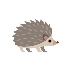 Vector illustration of cute hedgehog isolated on transparent background. © nadzeya26