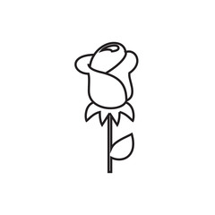 rose icon illustration