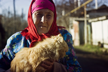 An old grandmother holds a homeless kitten