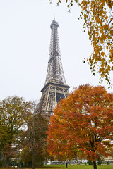 Fototapeta na wymiar Arbre en automne dans le champs de mars avec tour eiffel, Paris