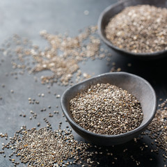 Organic healthy chia seeds in a bowl