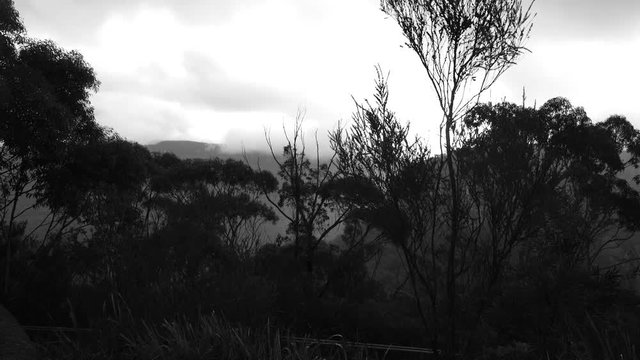 Black and white trees in the mountains and cliffs during sunset, skyline.