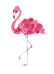 Tropical exotic bird pink flamingo