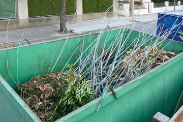 remains of trees in a container for recycling