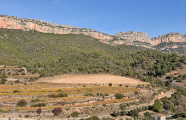 Fototapeta na wymiar vineyards in autumn near the village of La Vilella Alta, in the background the mountain of Montsant, El Priorat, Tarragona, Spain