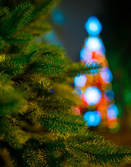 Evening lights of a Christmas tree. New year.