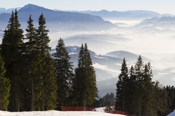 Top view from the ski slopes among the spruces on snow covered and foggy valley on the background mountain peaks. Skiing park Kubinska Hola  Western Tatras. © anatoliil