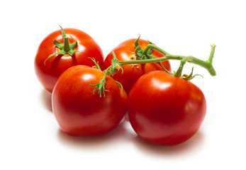 Tomatoes on white background