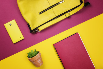 Bag, flowers and other womens accessories by color and the bright background. The view from the top. Flat lay.
