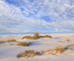 White Sand Beach and Beautiful Cloudy Sky