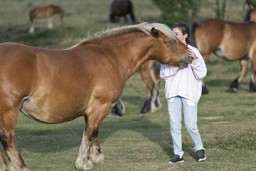 Obraz premium Teenager with Horses in a meadow