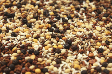 Indian Made Mixed Spices