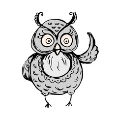 Cute owl,hand drawn mascot