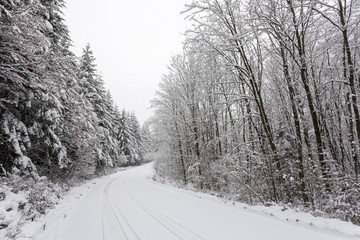 Obraz premium Road in a white winter forest