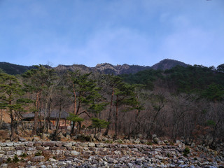 Mountain forest in South Korea. Seoraksan National Park