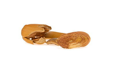 hazelnut nut and split shell isolated on white background