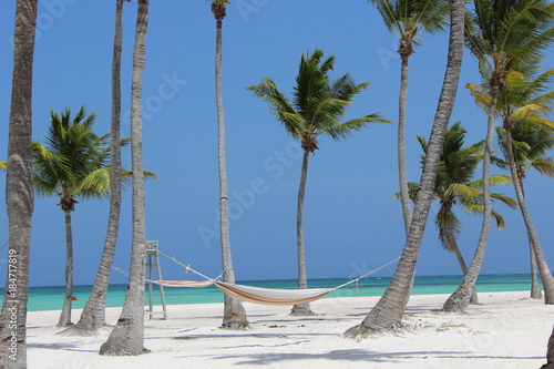 Hamac Sur Plage Sable Blanc Stock Photo And Royalty Free