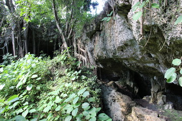 grotte jungle