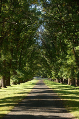 Nature is Beautiful NSW Australia