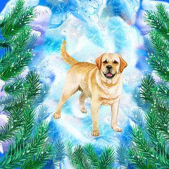 Golden retriever symbol of New Year and Christmas greeting card design with fir tree branches. Cute dog watercolor illustration isolated on snowy background, postcard in winter holidays concept