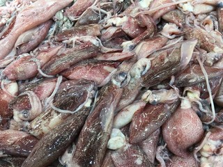 Frische Fische auf Eis 