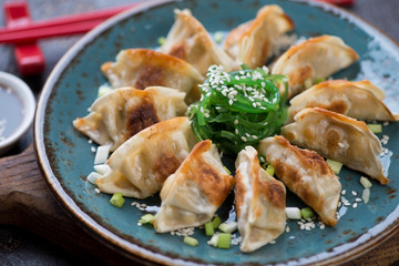 Close-up of pan fried gyoza dumplings with seaweed salad on a turquoise plate, horizontal shot, selective focus