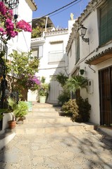 White street with flowers in Estepona, Andalusia, Spain