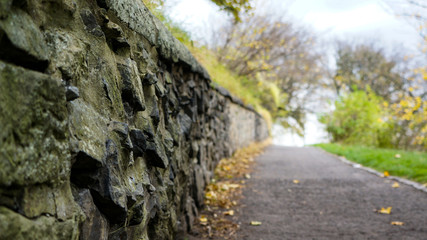 Obraz na płótnie Canvas A path with stone wall