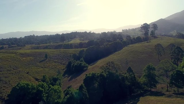 shadows of the countryside