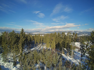 Naturnahe Waldwirtschaft