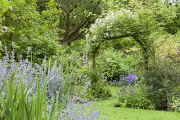 Colourful summer garden in bloom, with white flowering rose arch, leafy trees, evergreen shrubs. Green place to relax and rest . - 184723831