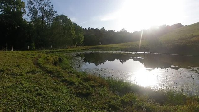 lilypond and the sunset flyover