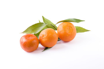 fresh mandarines isolated on white background. Oranges are arranged in rows. Placed on a white background..