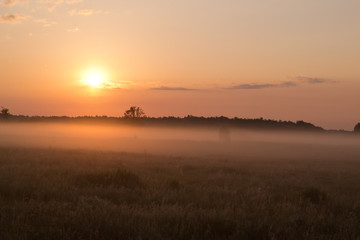 Fototapeta premium Foggy sunrise morning on meadow